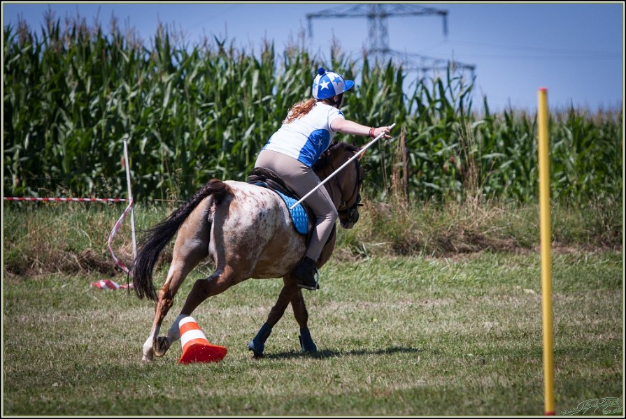 Mounted Games 185